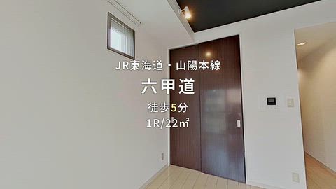 動画