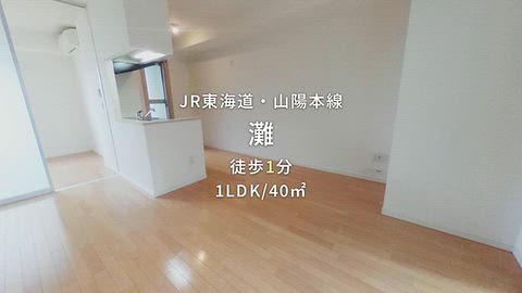 動画
