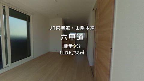 動画