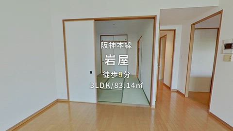 動画