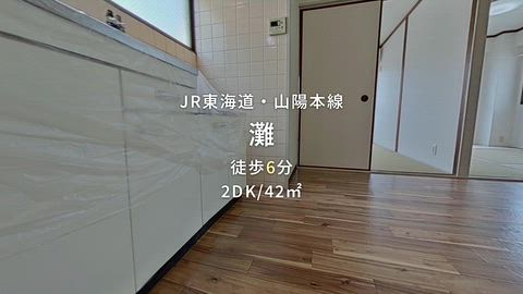 動画