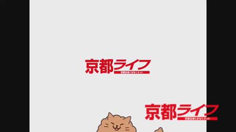 動画