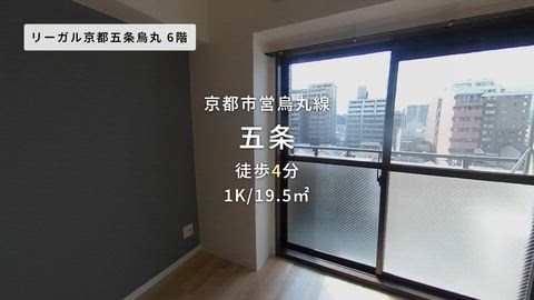 動画