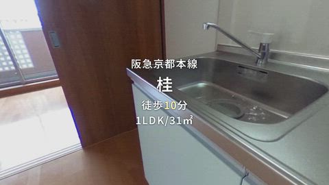 紹介ムービー