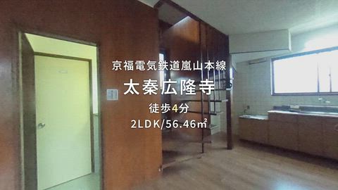 動画