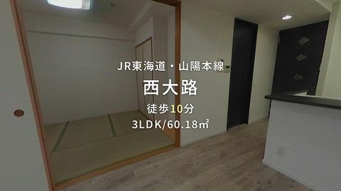 動画