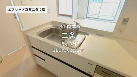動画