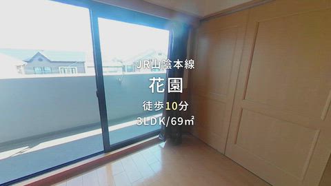 動画