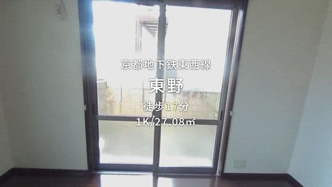 動画