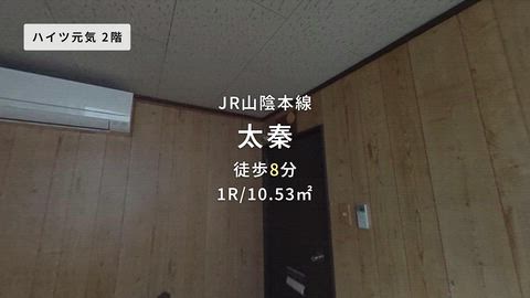 動画