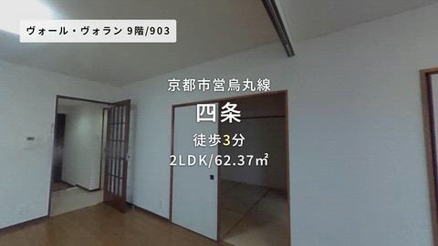 動画