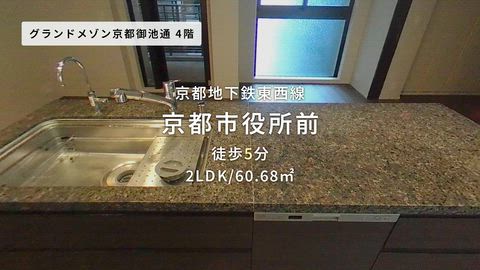 動画