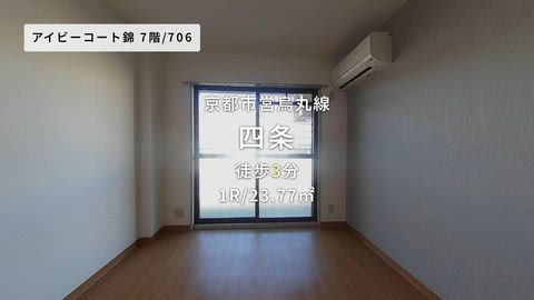 動画