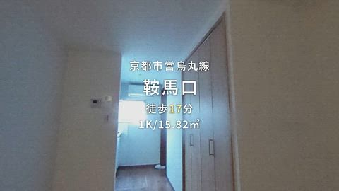 動画