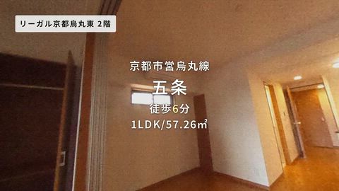 動画