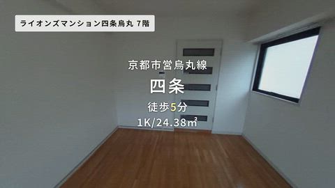 動画
