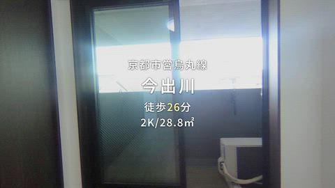 動画