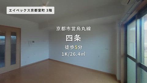 動画