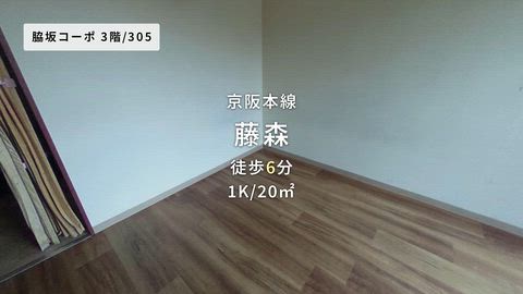 動画