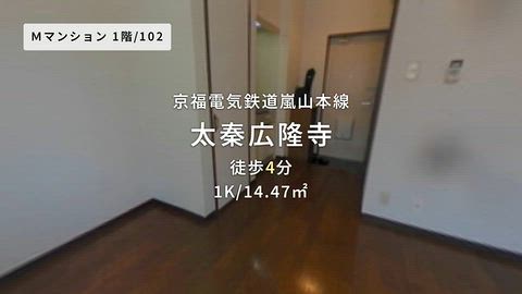 動画