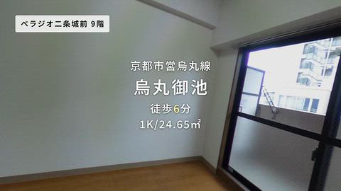 動画