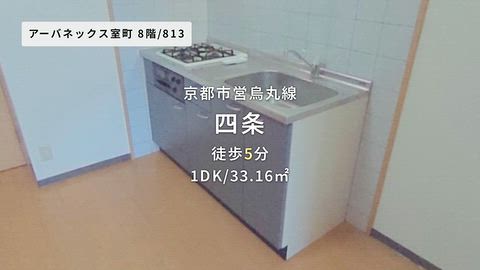 動画