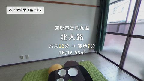 動画