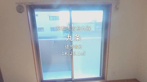 動画