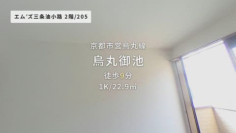 動画