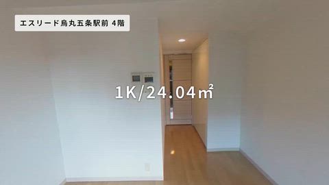動画