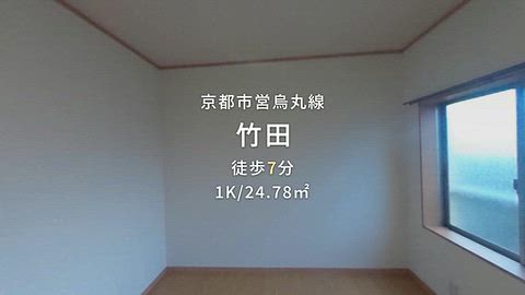 動画