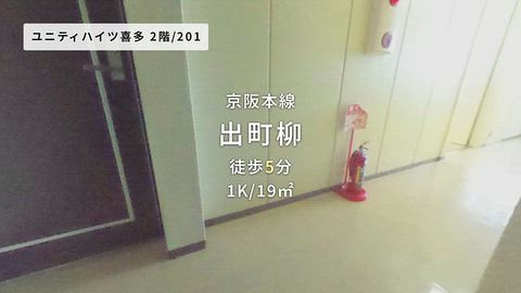 動画