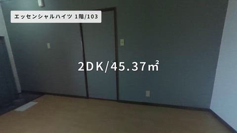 紹介ムービー