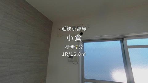 動画
