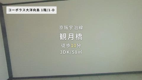 紹介ムービー