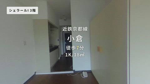 動画