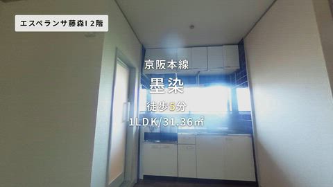 動画