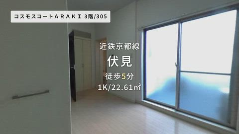 動画