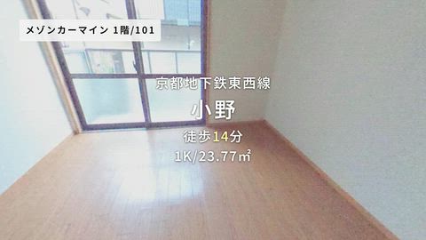 動画