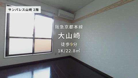 動画