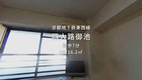 動画
