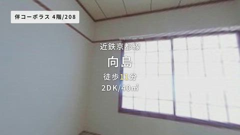 動画