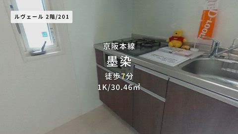 動画