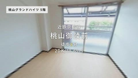 動画