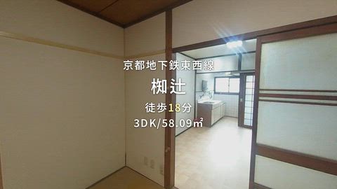 動画