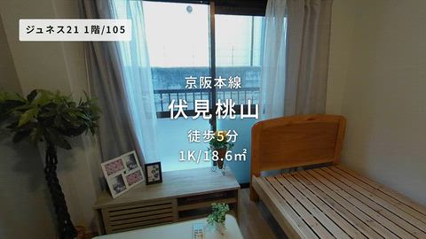 動画