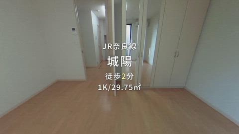 動画
