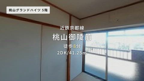 動画
