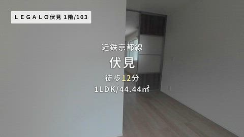 動画