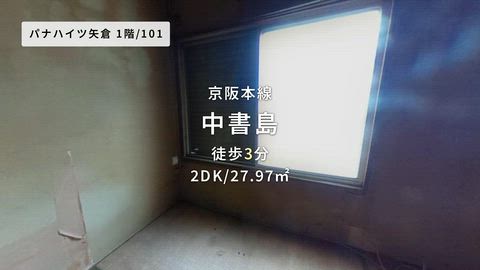 動画